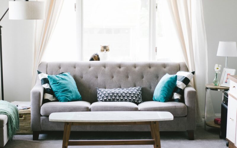 Complete Guide to Buying a Used Leather Sofa